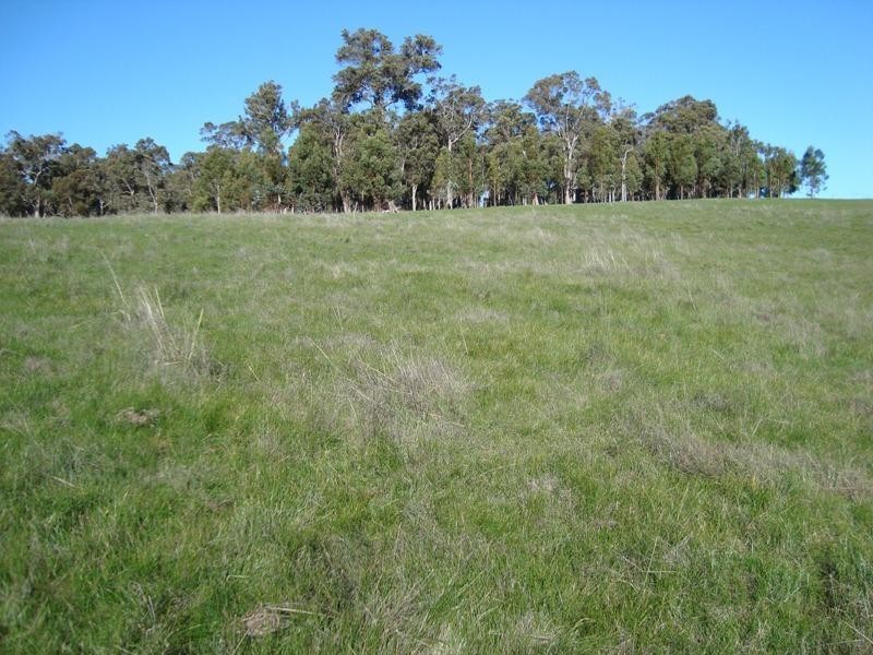 4 Forest View Court, North Greenbushes WA 6254