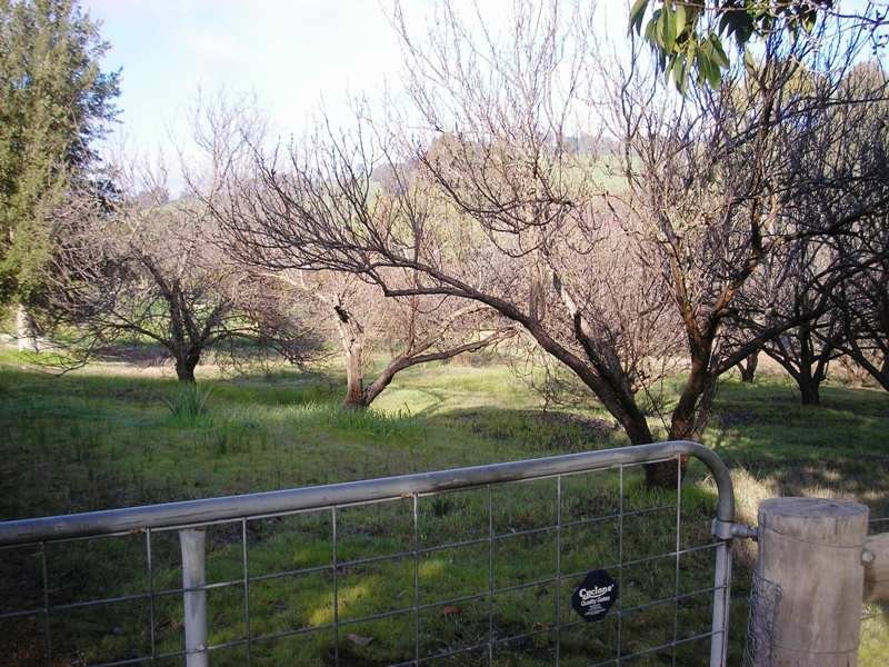 Lot 101 Bailey Heights, Balingup WA 6253