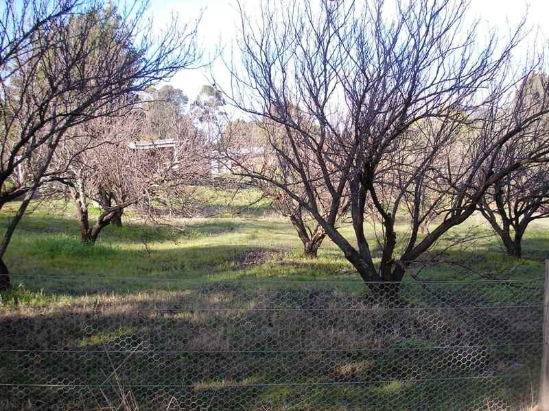 Lot 101 Bailey Heights, Balingup WA 6253