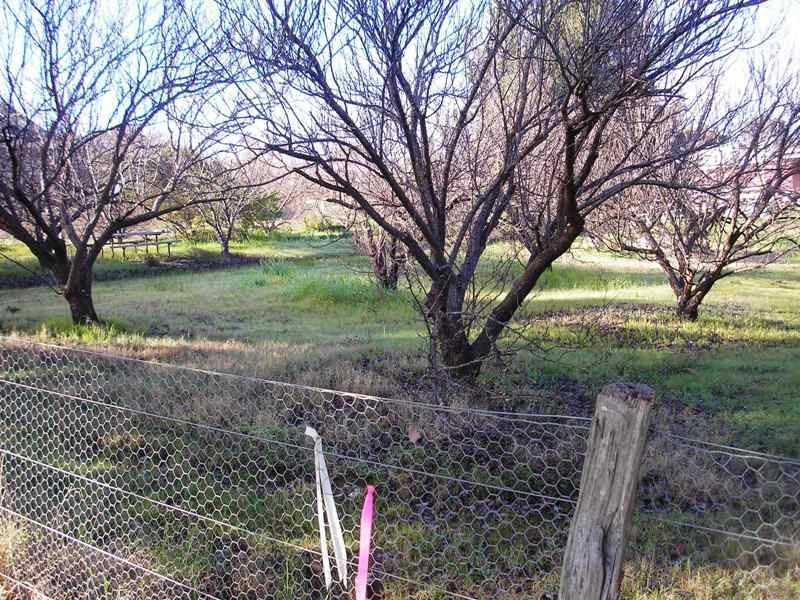 Lot 101 Bailey Heights, Balingup WA 6253