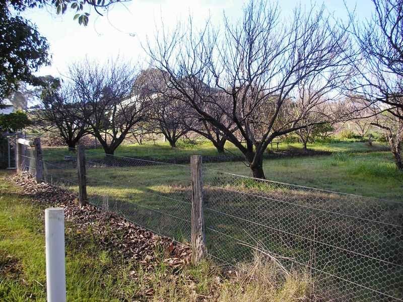 Lot 101 Bailey Heights, Balingup WA 6253