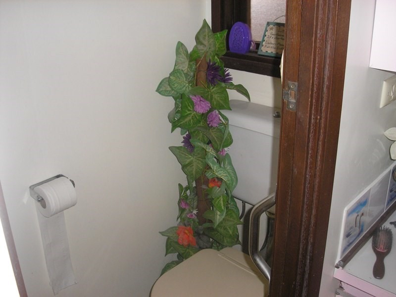 56 Blackwood Road, Greenbushes WA 6254