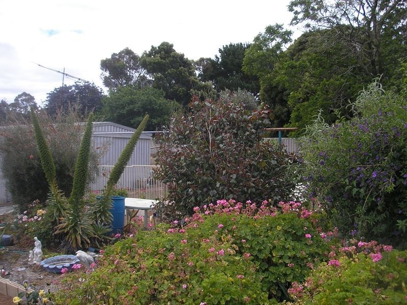 56 Blackwood Road, Greenbushes WA 6254