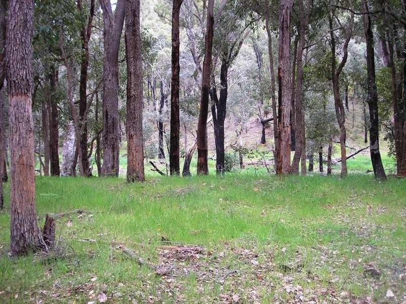 475 Jayes Road, Balingup WA 6253