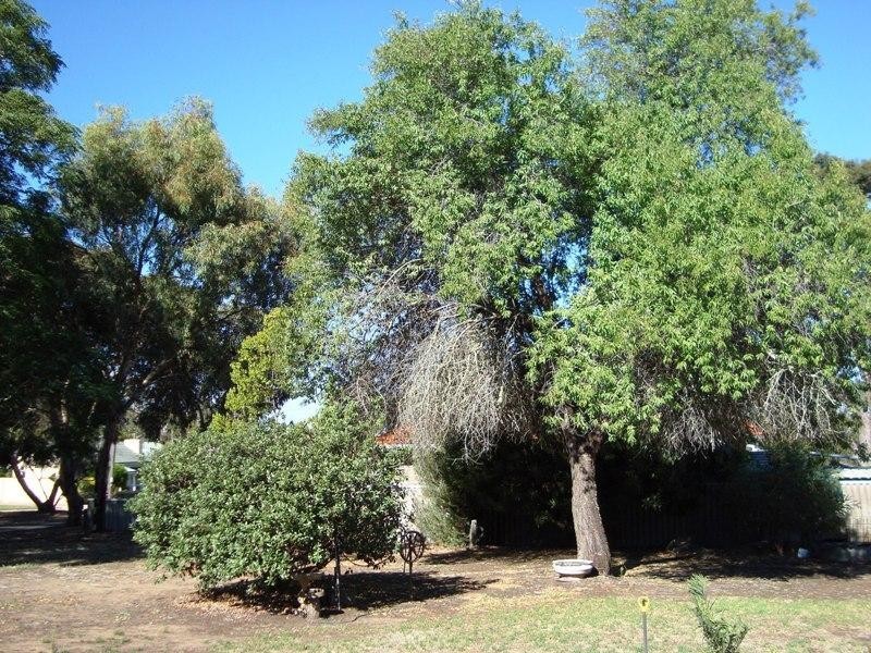 56 and 58 Jayes Road, Boyup Brook WA 6244