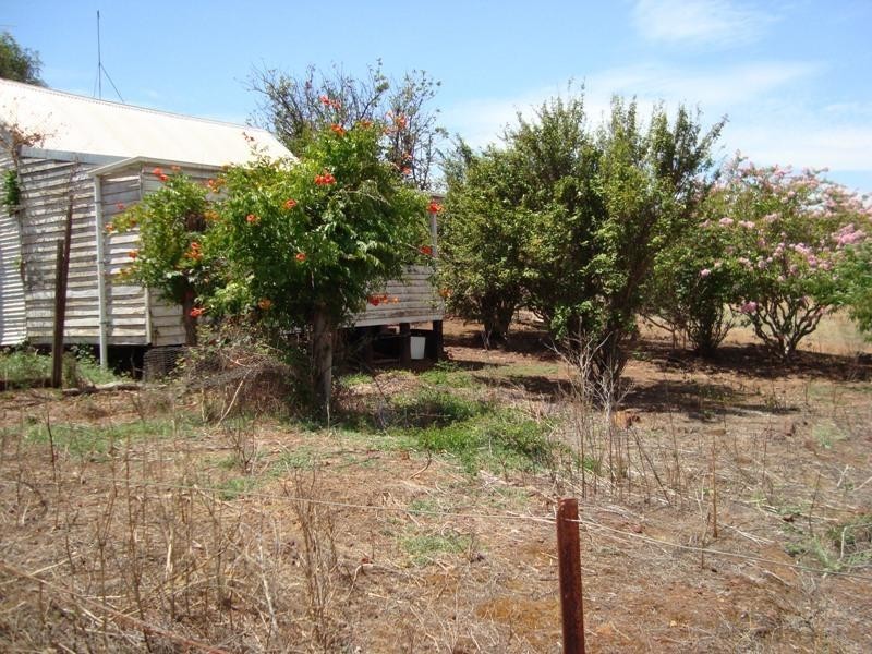 52 Warner Street, Mullalyup WA 6252