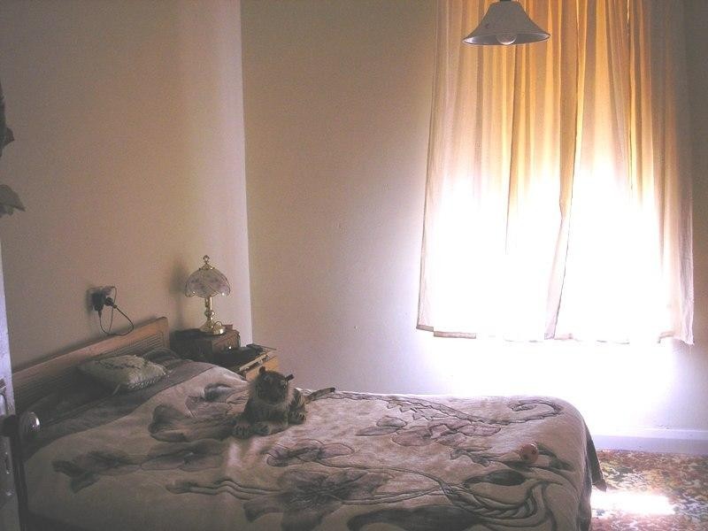 8 Roberts Street, Balingup WA 6253