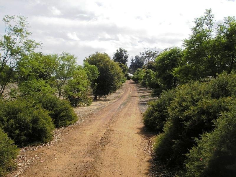 143 Lukis Street, Balingup WA 6253