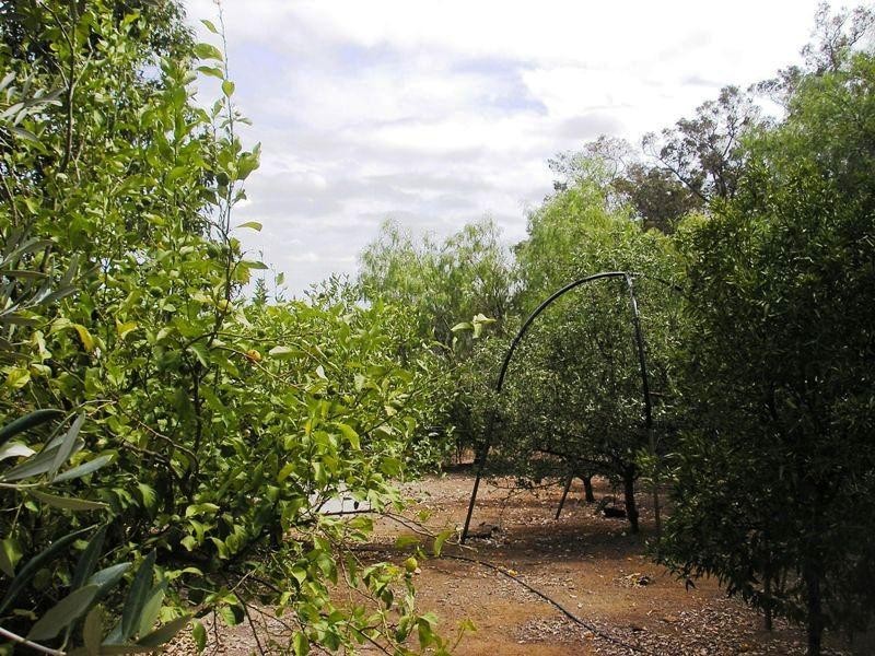 143 Lukis Street, Balingup WA 6253