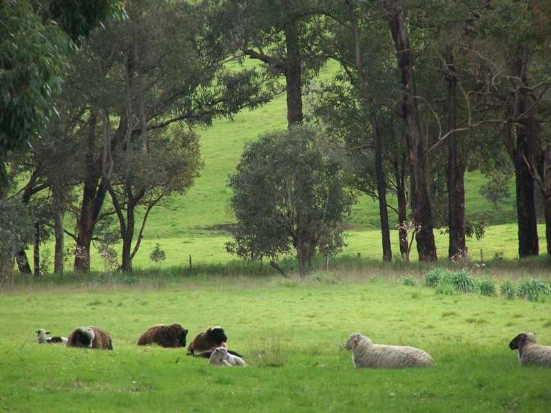 382 Hay Road, Balingup WA 6253