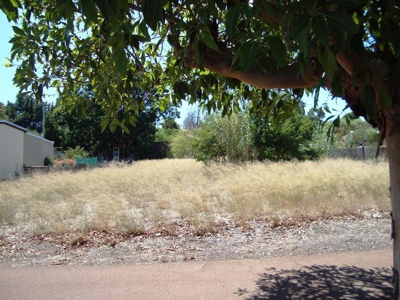 54 Blackwood Road, Greenbushes WA 6254