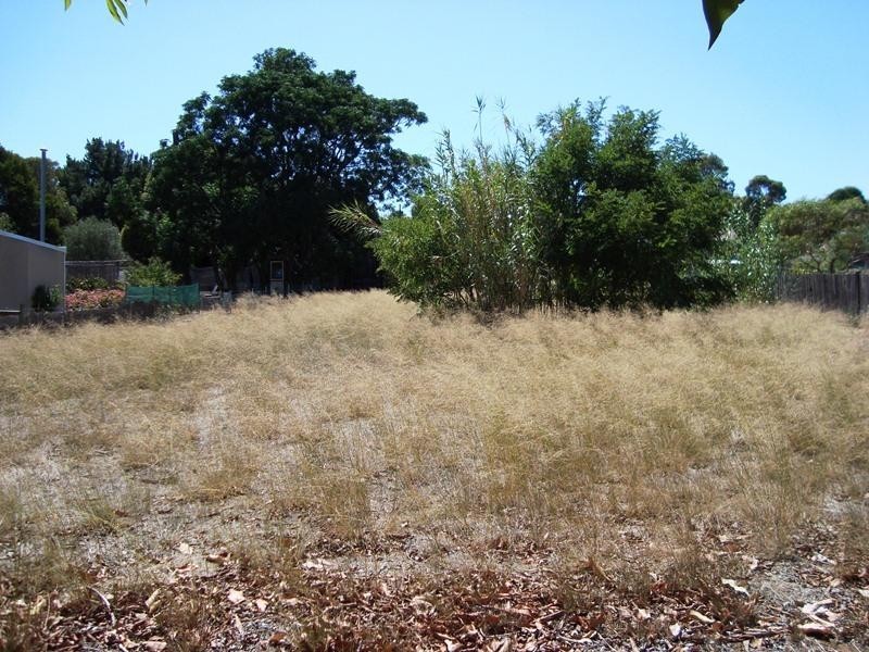 54 Blackwood Road, Greenbushes WA 6254