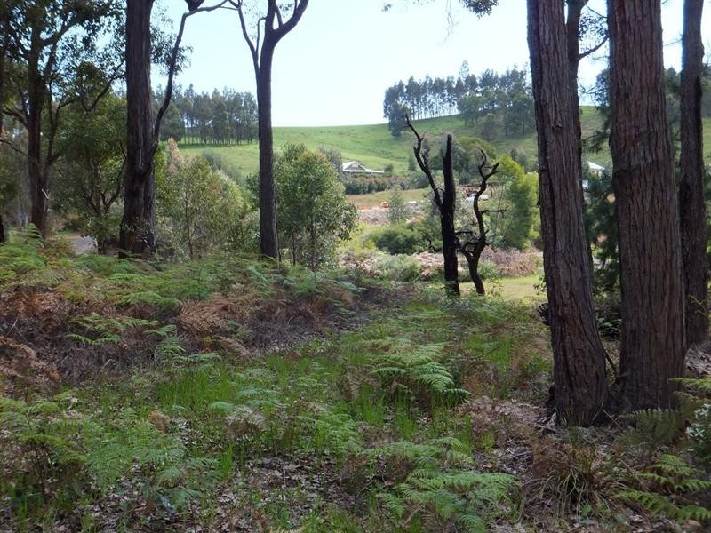 Lot 102 Balinga Drive, Balingup WA 6253