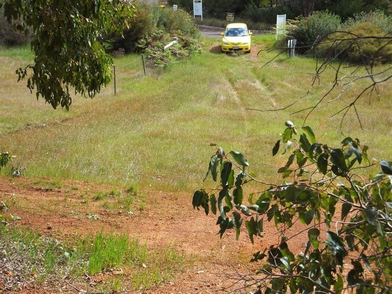 Lot 102 Balinga Drive, Balingup WA 6253