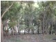 LOT 10 NIEUWENHUYZE Road, Kirup WA 6251
