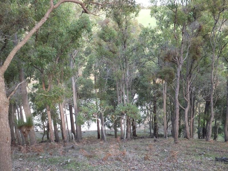 LOT 10 NIEUWENHUYZE Road, Kirup WA 6251
