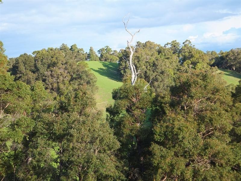 LOT 10 NIEUWENHUYZE Road, Kirup WA 6251