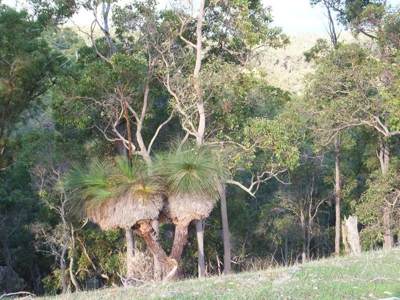 LOT 10 NIEUWENHUYZE Road, Kirup WA 6251