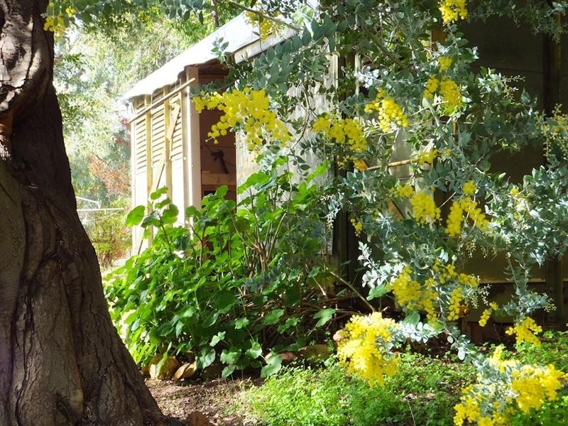 14 De Lisle Street, Balingup WA 6253