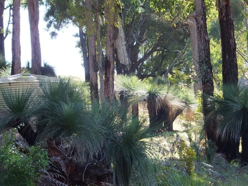 278 Ammon Road, Balingup WA 6253