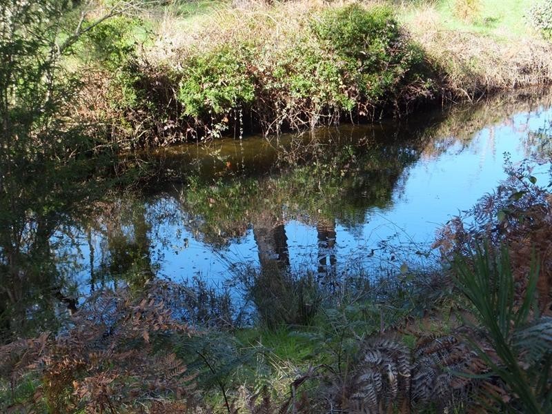 278 Ammon Road, Balingup WA 6253