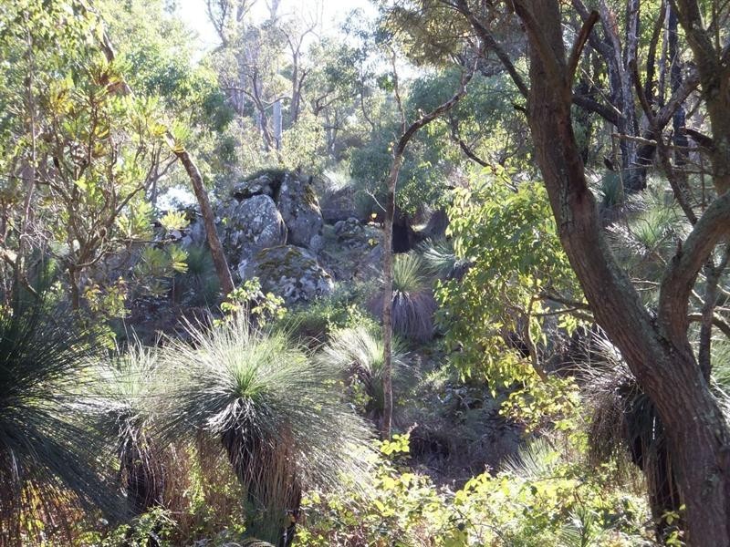 278 Ammon Road, Balingup WA 6253