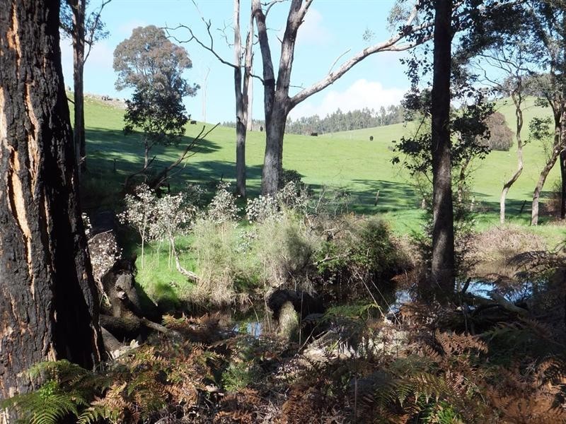 278 Ammon Road, Balingup WA 6253