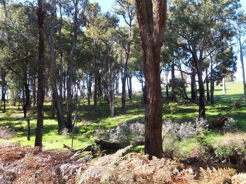 278 Ammon Road, Balingup WA 6253