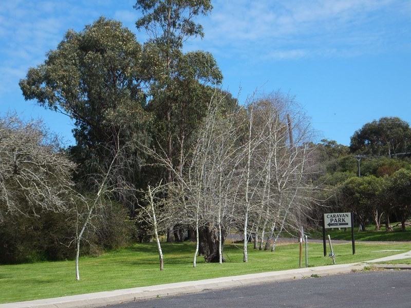 49 South Western Highway, Kirup WA 6251
