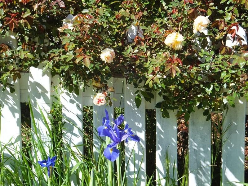 11 Brockman Street, Balingup WA 6253