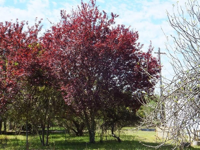 24 Cundinup-Kirup Road, Kirup WA 6251