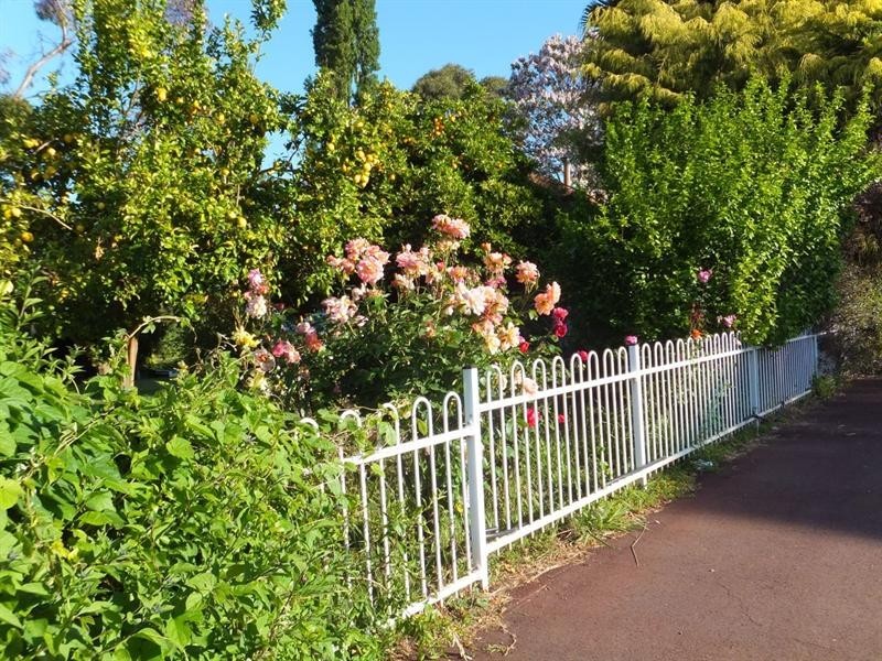 41 South Western Highway, Balingup WA 6253