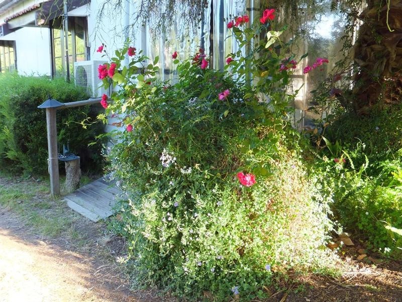 41 South Western Highway, Balingup WA 6253