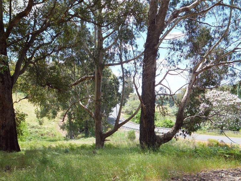 1268 Brookhampton Road, Kirup WA 6251