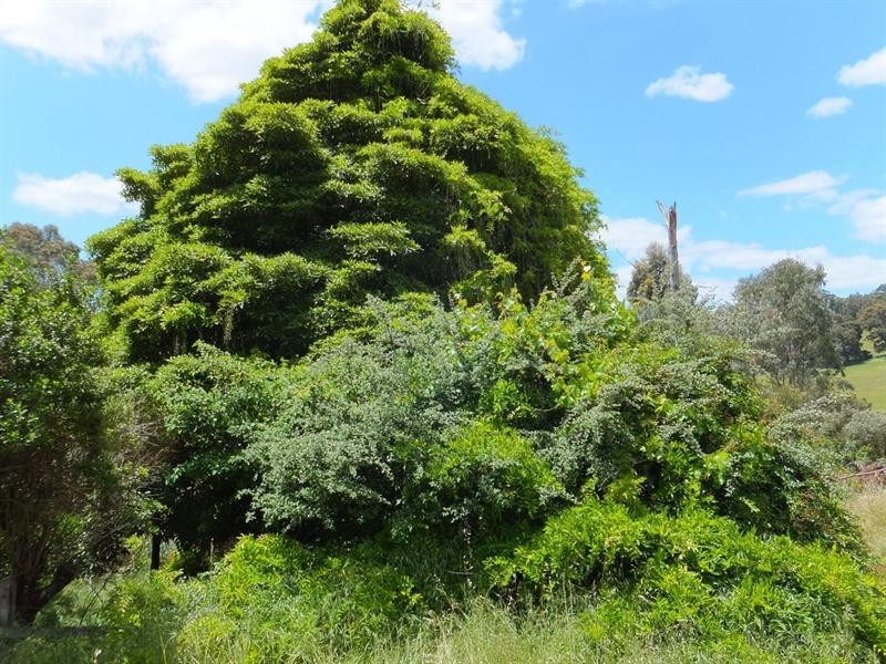 1268 Brookhampton Road, Kirup WA 6251