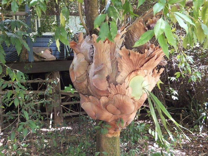 1268 Brookhampton Road, Kirup WA 6251