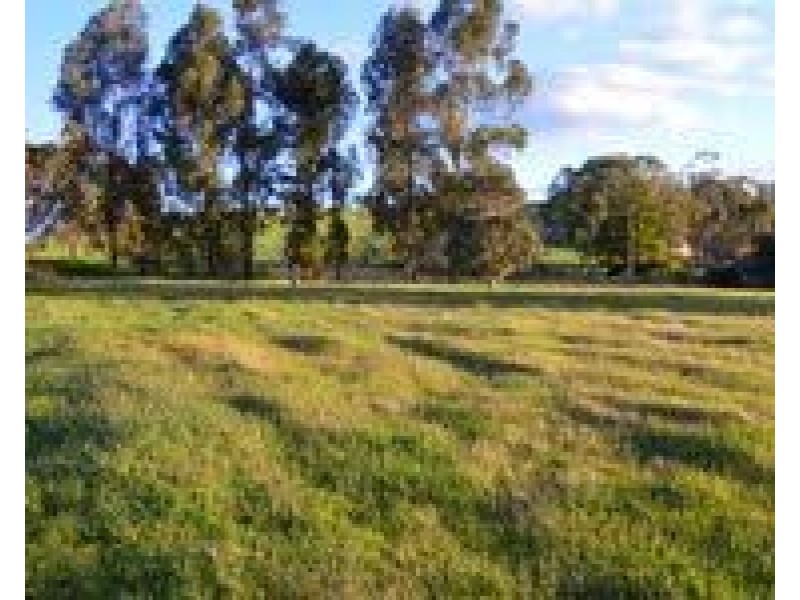 Lot 471/1 Dearle Street, Balingup WA 6253