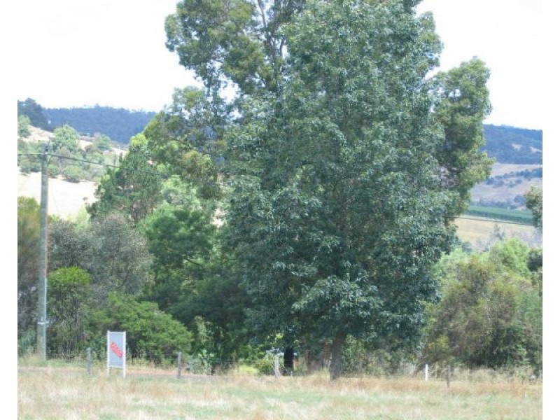 Lot 471/1 Dearle Street, Balingup WA 6253