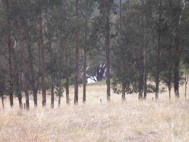 Lot 20 River Road, Bridgetown WA 6255