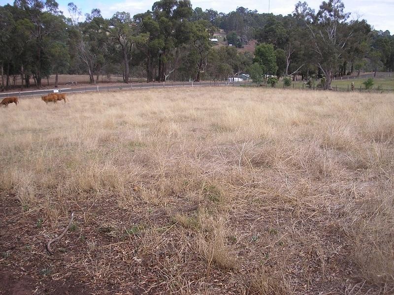 Lot 20 River Road, Bridgetown WA 6255