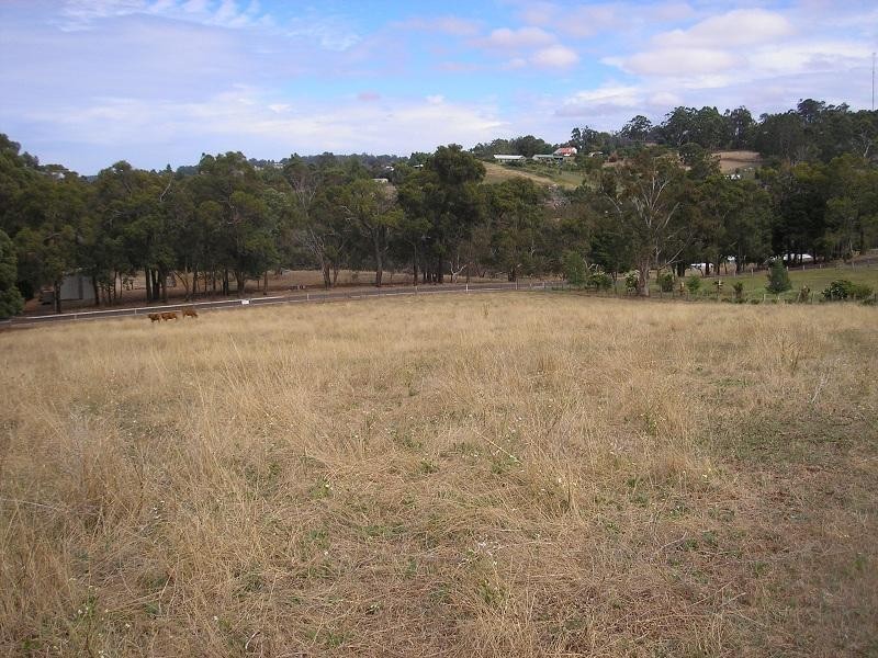 Lot 20 River Road, Bridgetown WA 6255