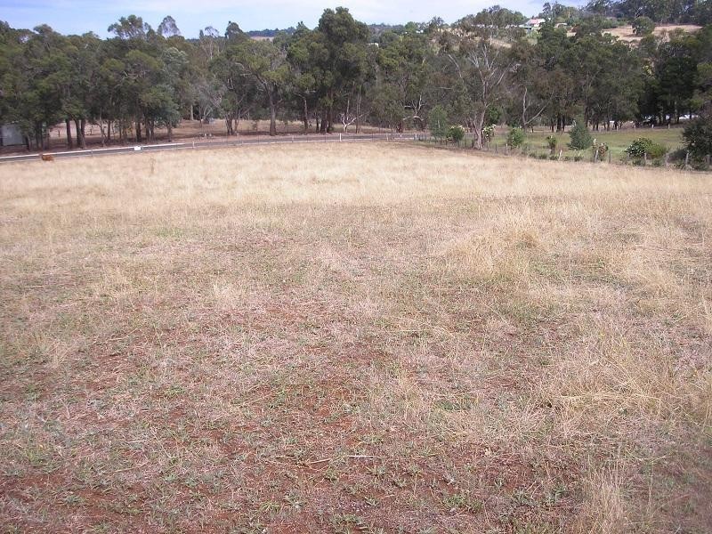 Lot 20 River Road, Bridgetown WA 6255