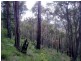 2 Picea Road, Balingup WA 6253