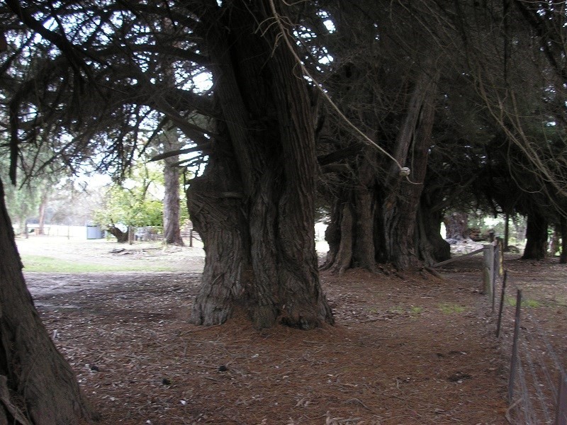 Lot 288 South Western Highway, Bridgetown WA 6255