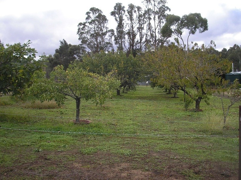 Lot 288 South Western Highway, Bridgetown WA 6255