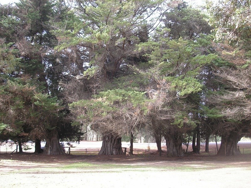 Lot 288 South Western Highway, Bridgetown WA 6255