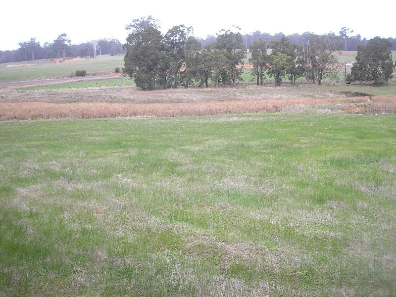 Lot 288 South Western Highway, Bridgetown WA 6255