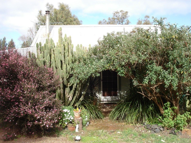 17 George Street, Greenbushes WA 6254