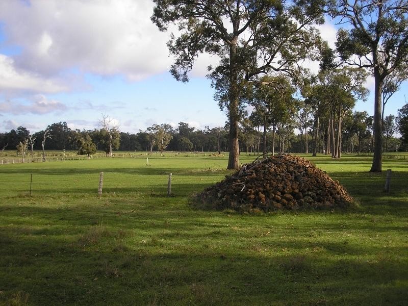 Lot 2133 Mersea Road, Bridgetown WA 6255