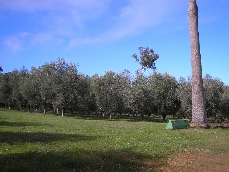 66 Knapton Road, Balingup WA 6253